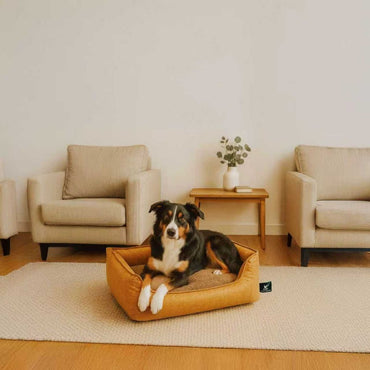 TYVEK Fabric Pet Bed