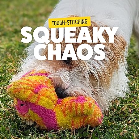 Fuggler Dog Toys – Old Tooth