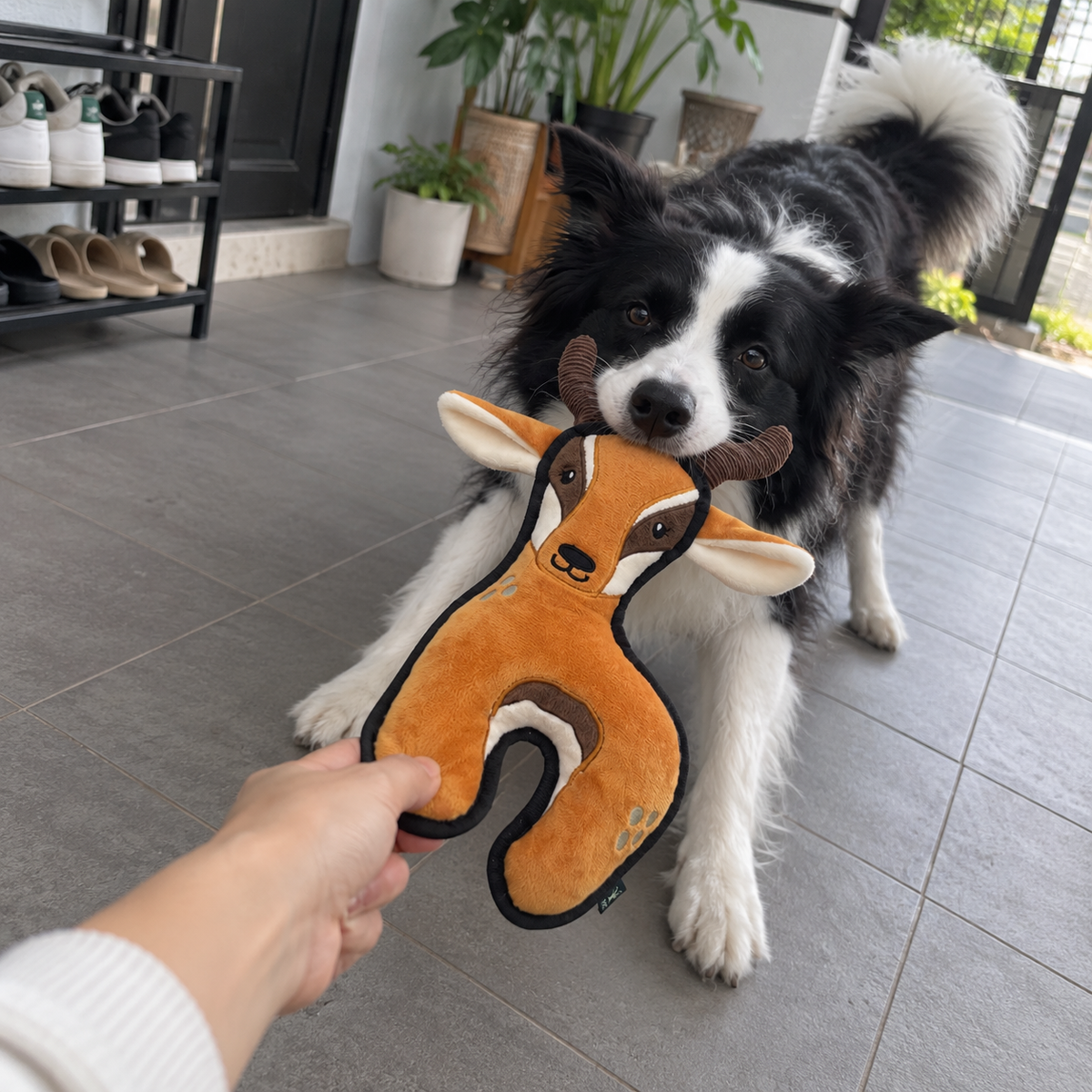 V-Pet Team Range Ada the Antelope