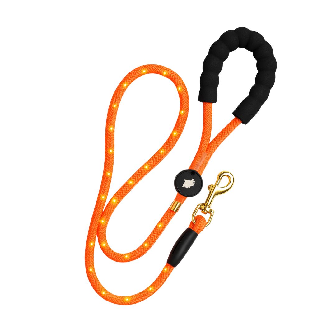Lumon LED Leash