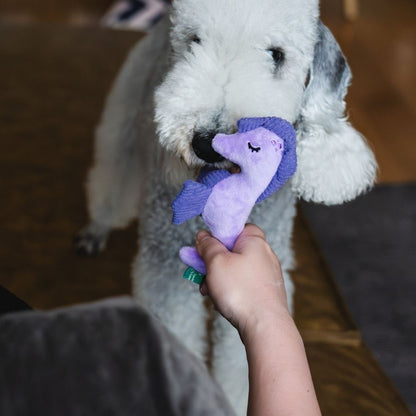 V-Pet Sea Creatures Seahorse