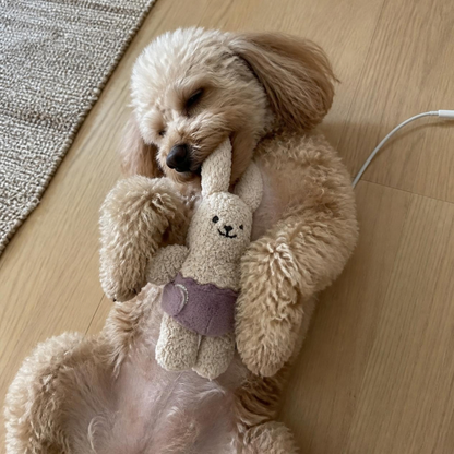 V-Pet Little Bubkins Bunny