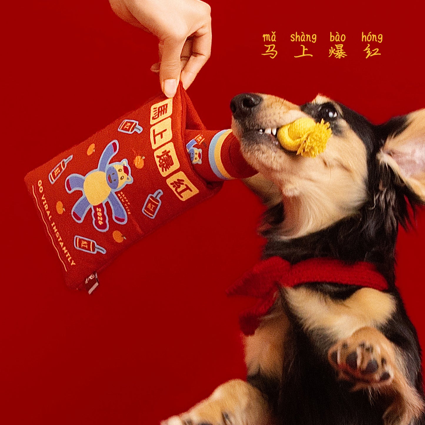 Lucky Dog Ang Bao