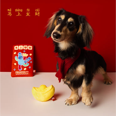 Lucky Dog Ang Bao