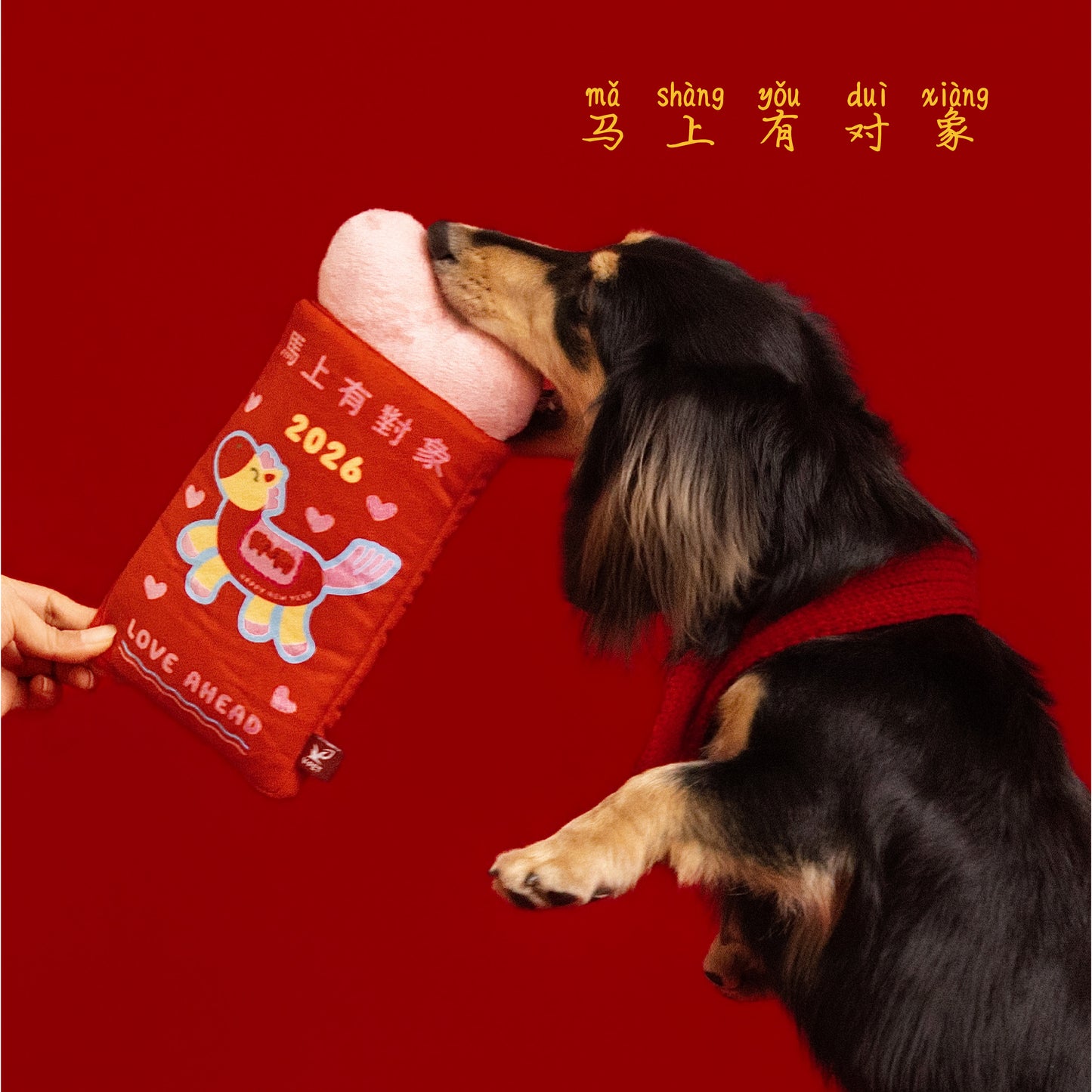 Lucky Dog Ang Bao