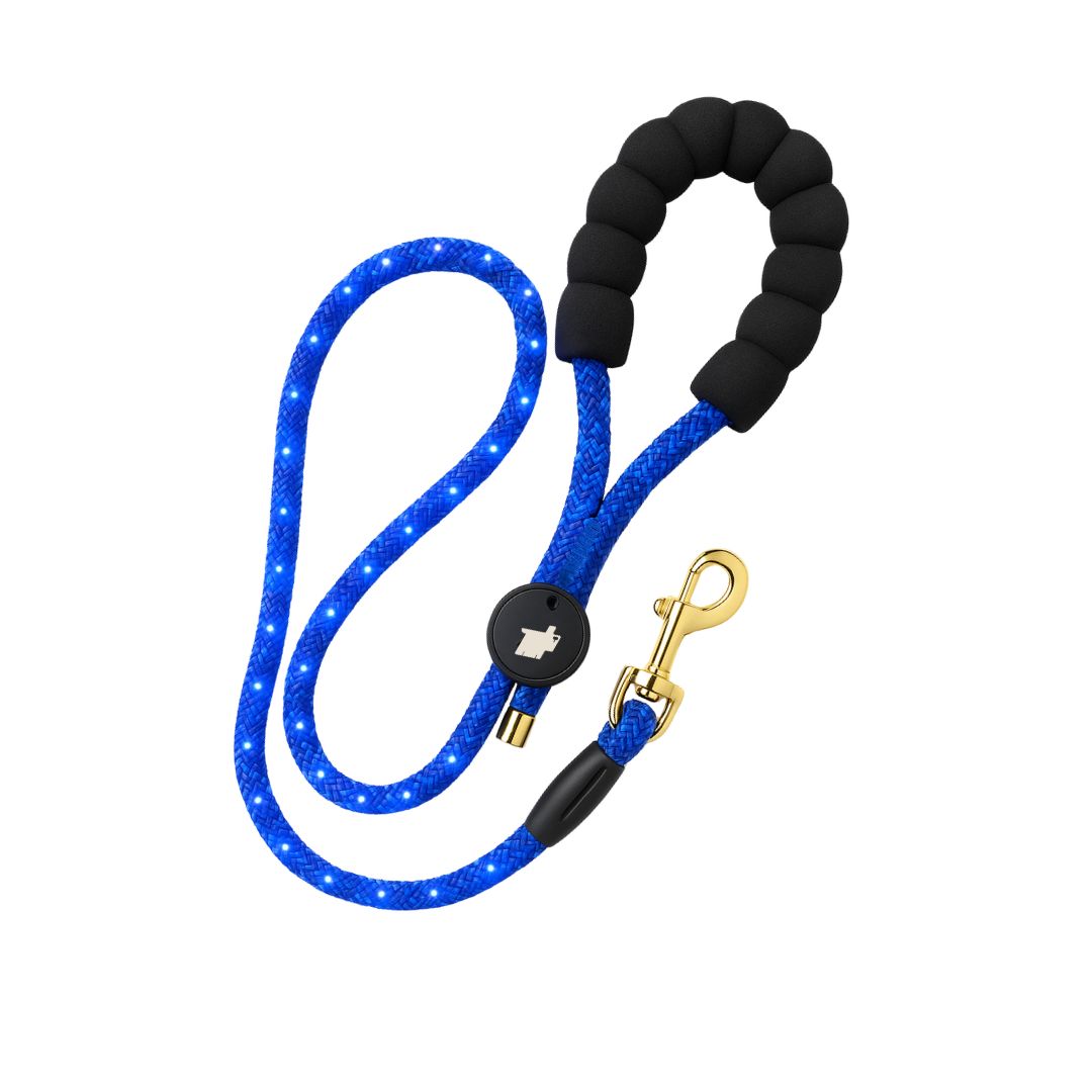 Lumon LED Leash