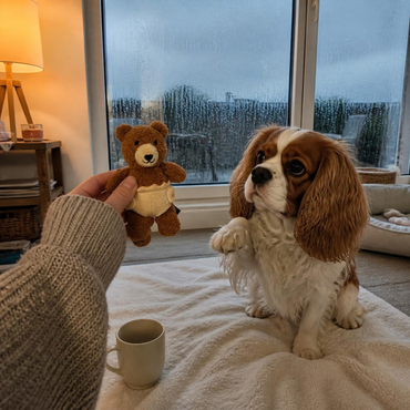 V-Pet Little Bubkins Teddy Bear