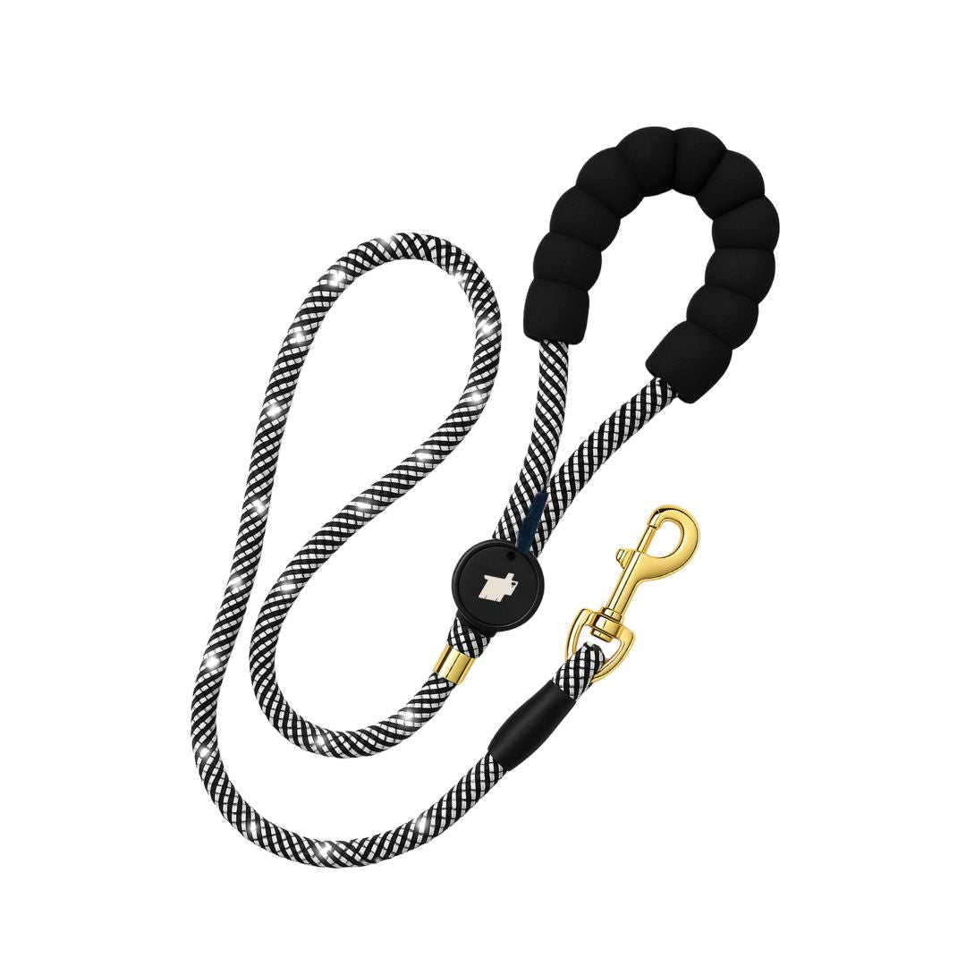 Lumon LED Leash