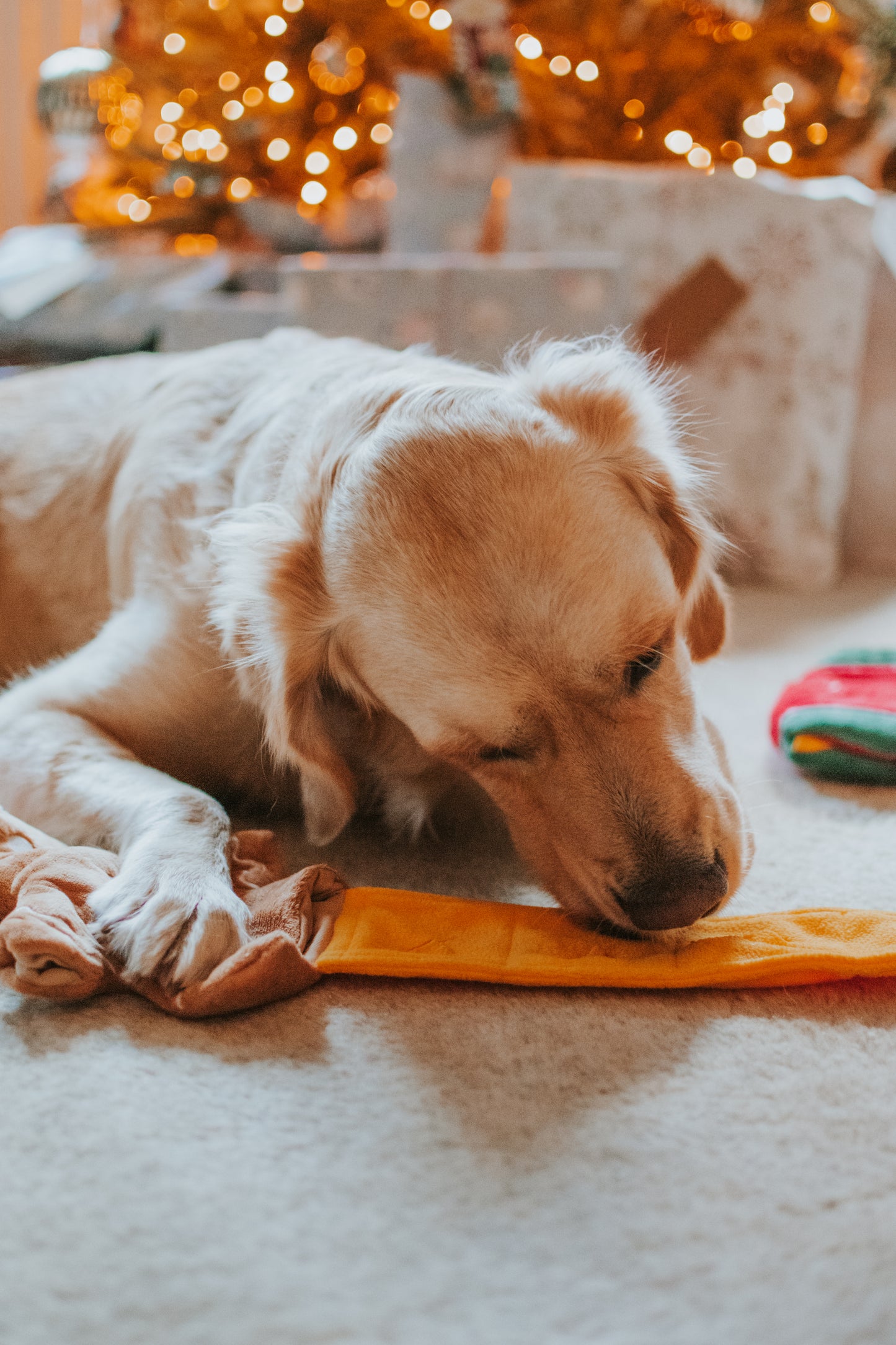 V-Pet Christmas Toys Puzzle Toy - Gingerbread Man