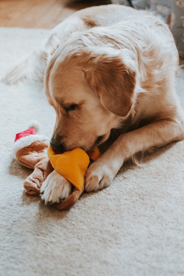 V-Pet Christmas Toys Puzzle Toy - Gingerbread Man