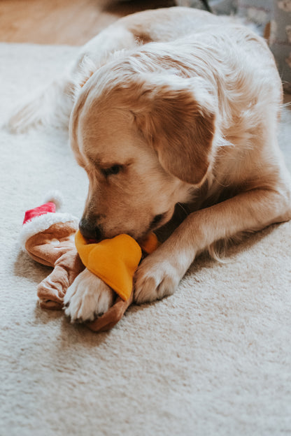 V-Pet Christmas Toys Puzzle Toy - Gingerbread Man