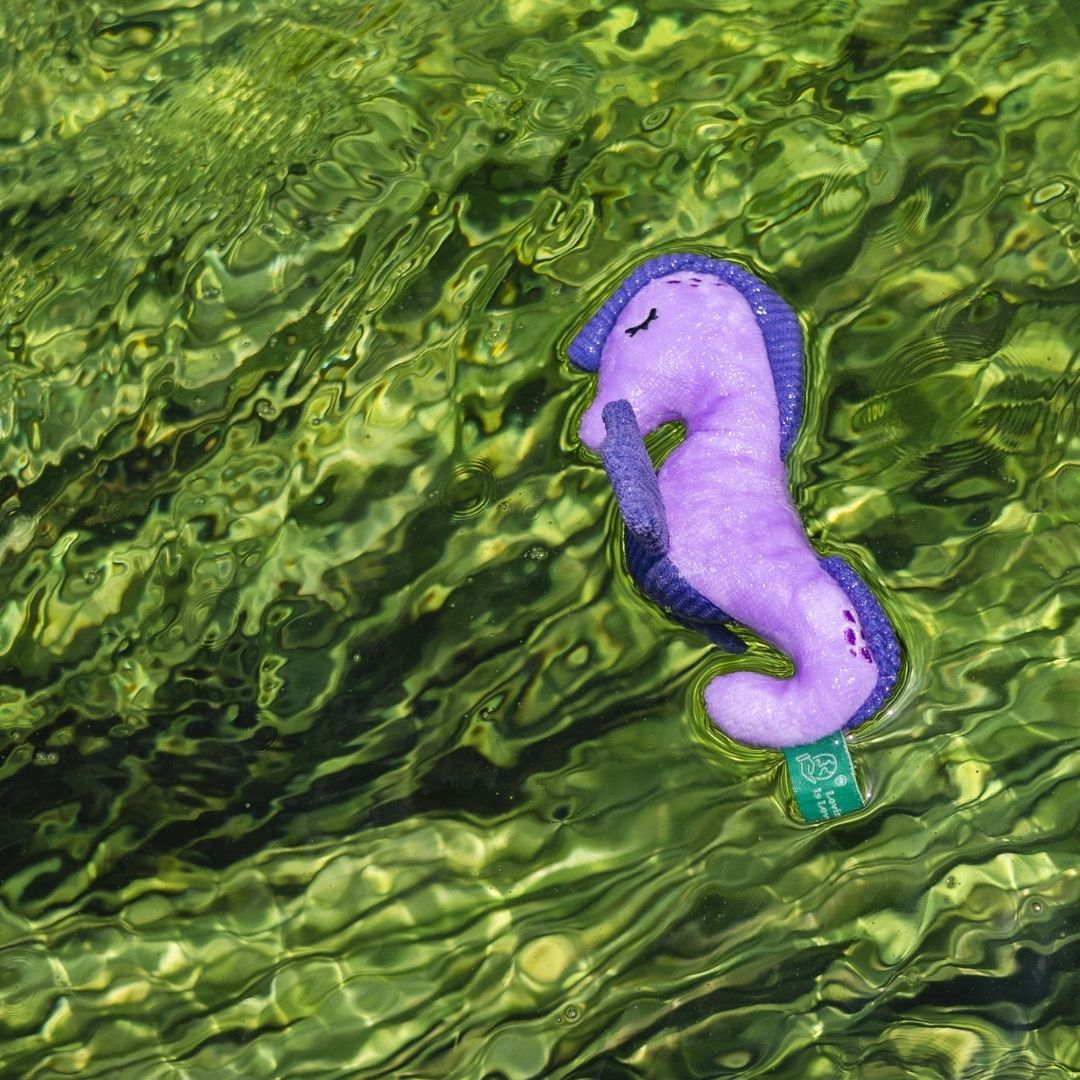 V-Pet Sea Creatures Seahorse