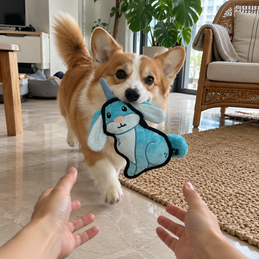 V-Pet Team Range Alvin the Almiraj