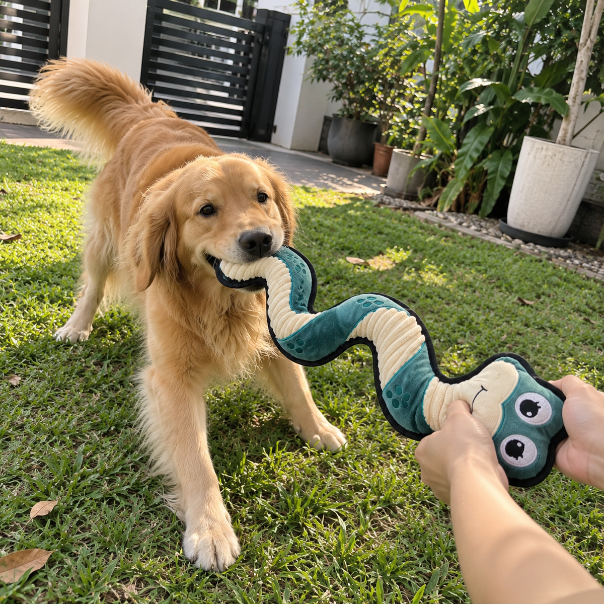 V-Pet Team Range Anna the Anaconda