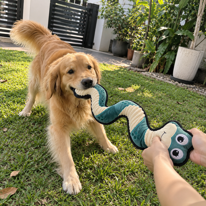 V-Pet Team Range Anna the Anaconda