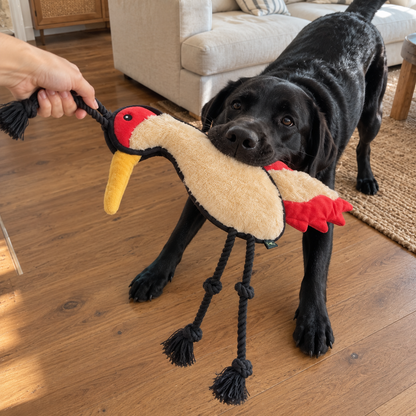 V-Pet Team Range Cathy the Crane