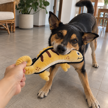 V-Pet Team Range Cindy the Chameleon