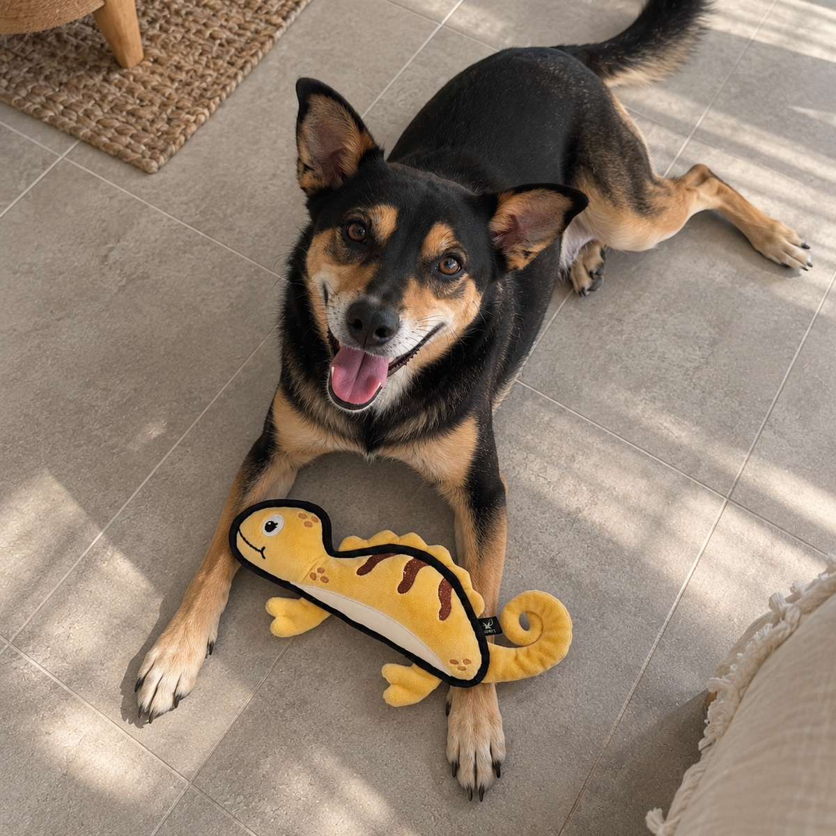 V-Pet Team Range Cindy the Chameleon
