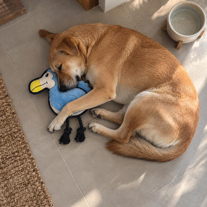 V-Pet Team Range Daniel the Dodo