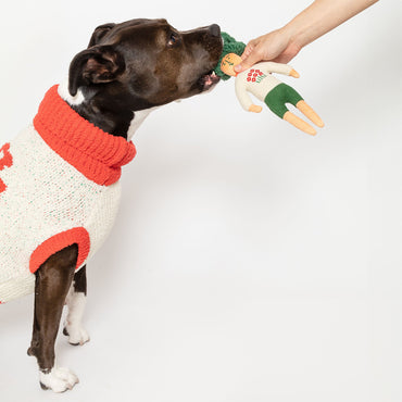 The FurryFolks – Flower Hooman Nosework Toy