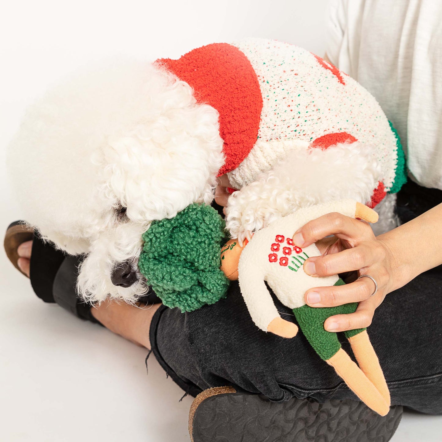 The FurryFolks – Flower Hooman Nosework Toy
