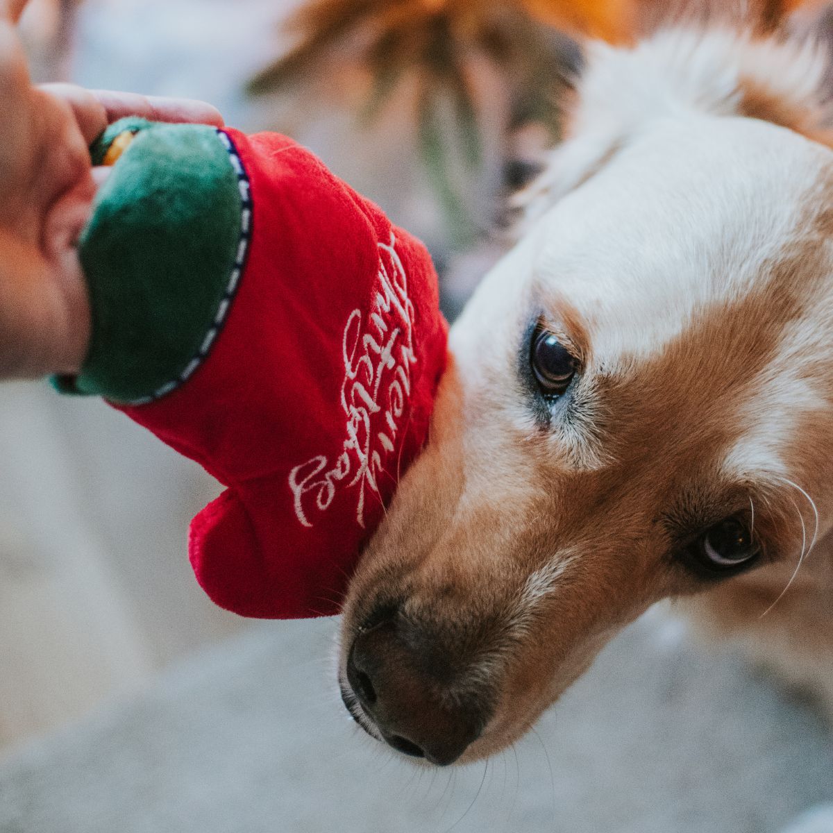 Puzzle Toy -  Gloves