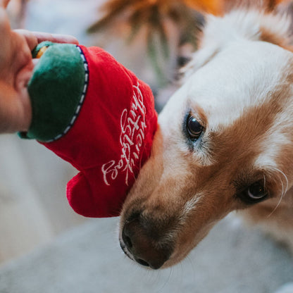 Puzzle Toy -  Gloves