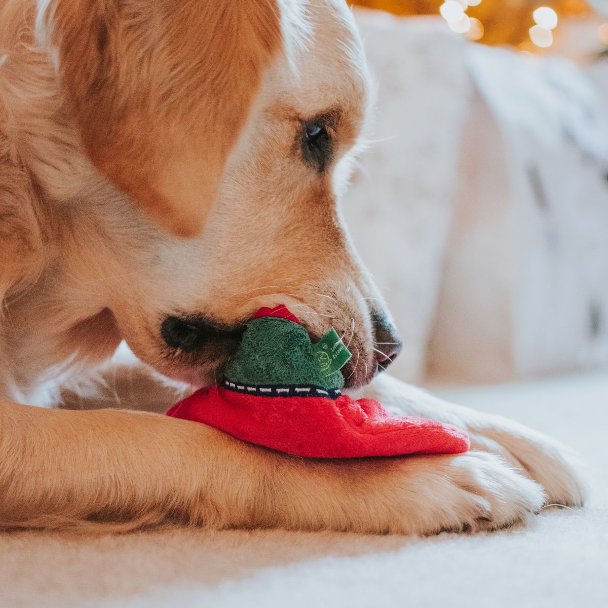 Puzzle Toy - Gingerbread Man