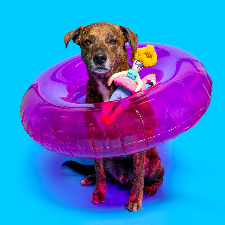 The FurryFolks – Flamingo Hooman Nosework Toy