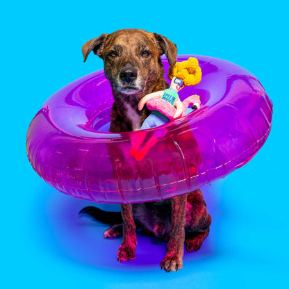 The FurryFolks – Flamingo Hooman Nosework Toy