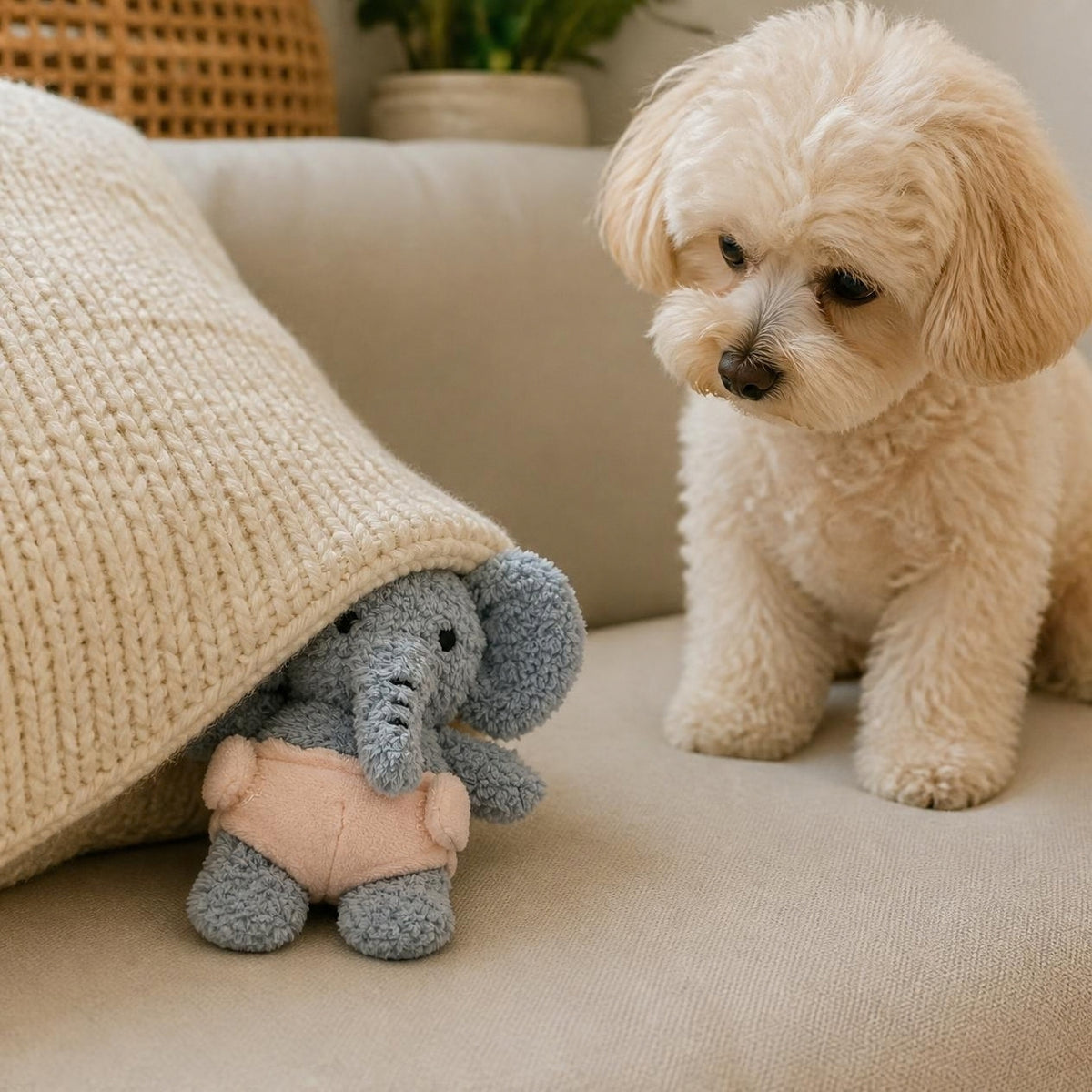V-Pet Little Bubkins Elephant