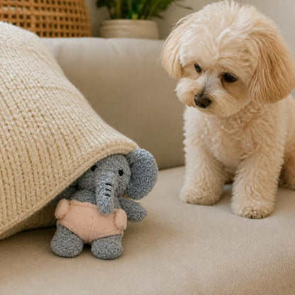 V-Pet Little Bubkins Elephant