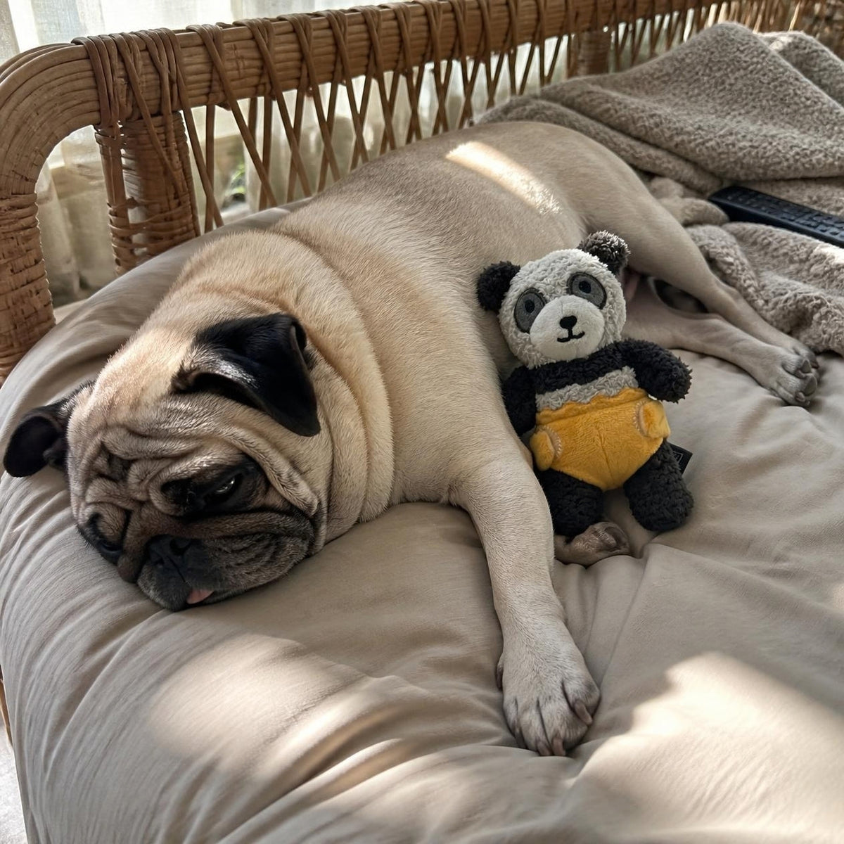 V-Pet Little Bubkins Panda