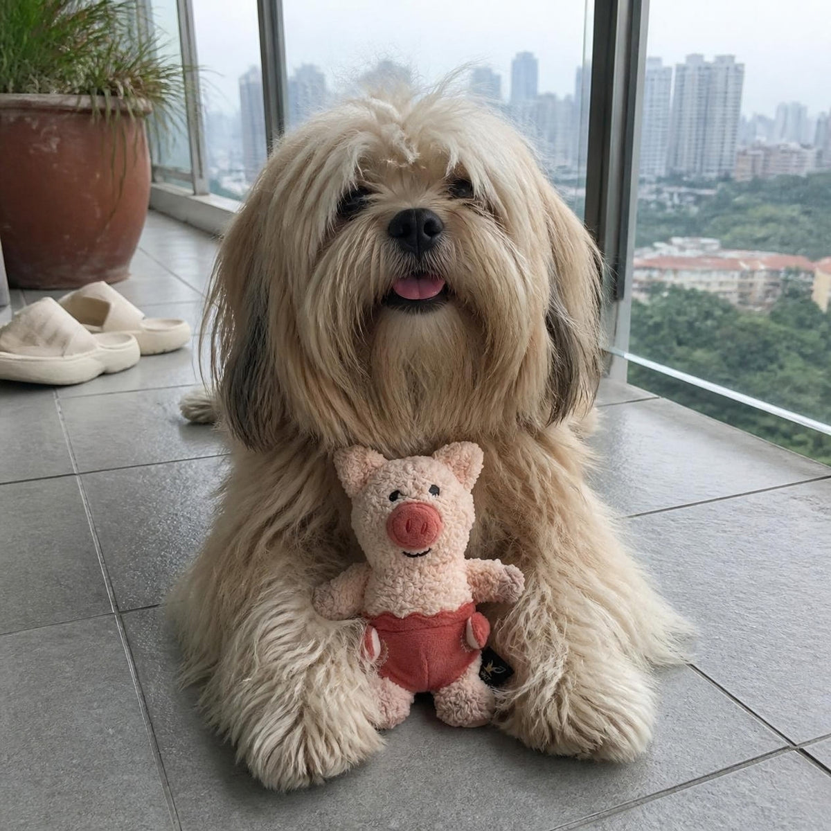 V-Pet Little Bubkins Piggy