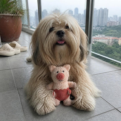 V-Pet Little Bubkins Piggy