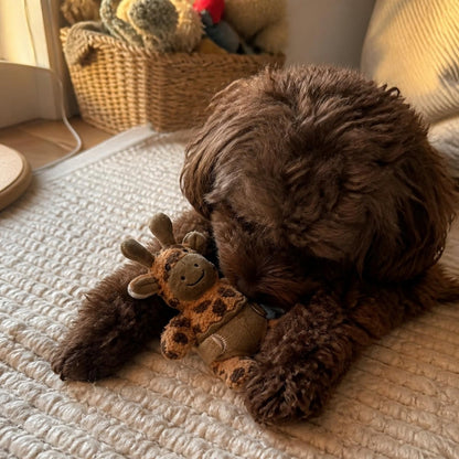 V-Pet Little Bubkins Giraffe