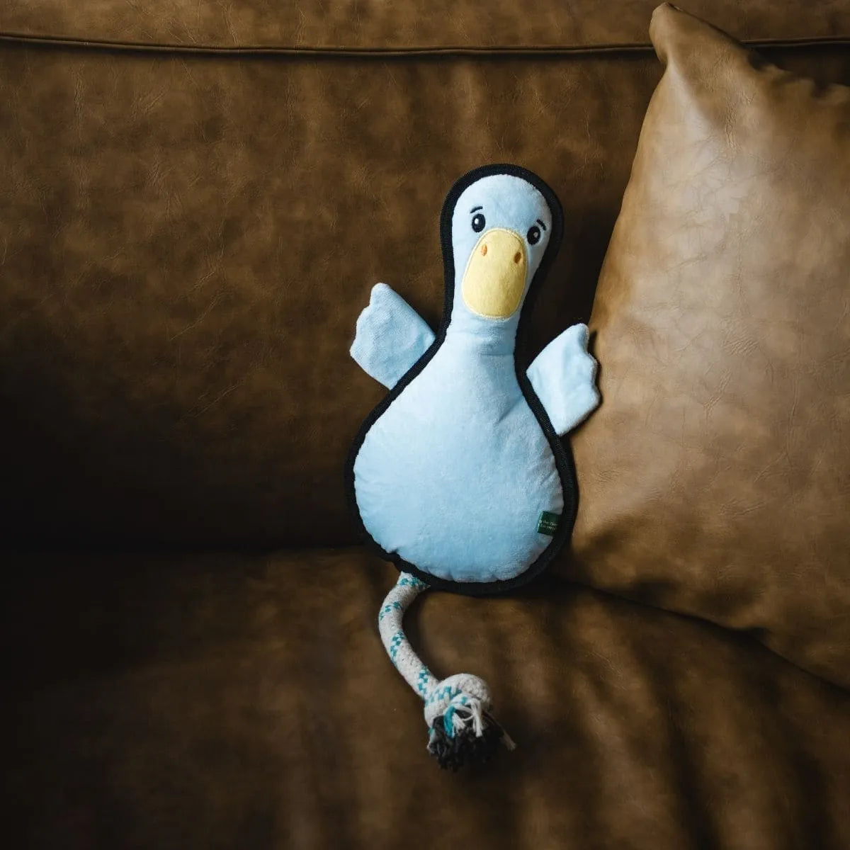 V-Pet Welcome to Farm  Duck