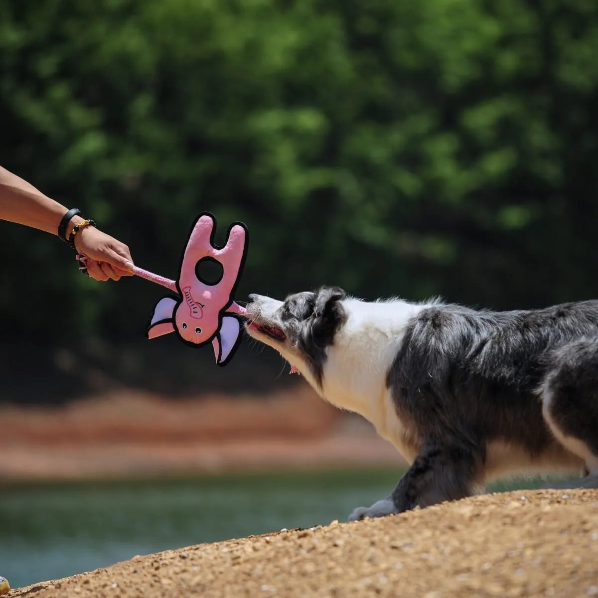 V-Pet Wild Wonders Elephant