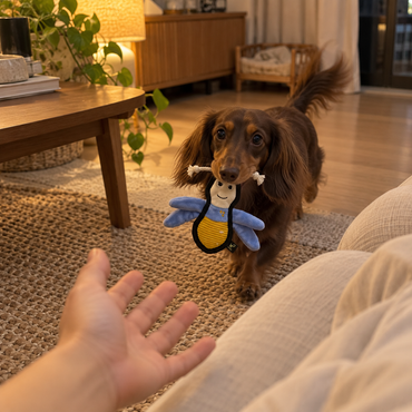V-Pet Team Range Fiona the Firefly