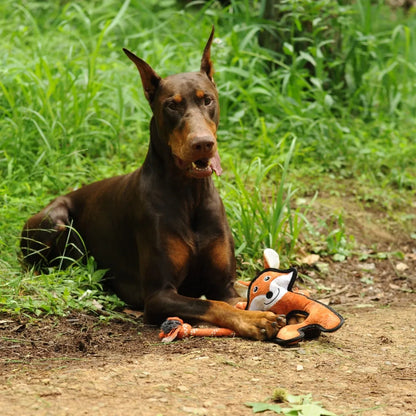 V-Pet Wild Wonders Fox