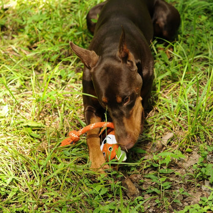 V-Pet Wild Wonders Fox