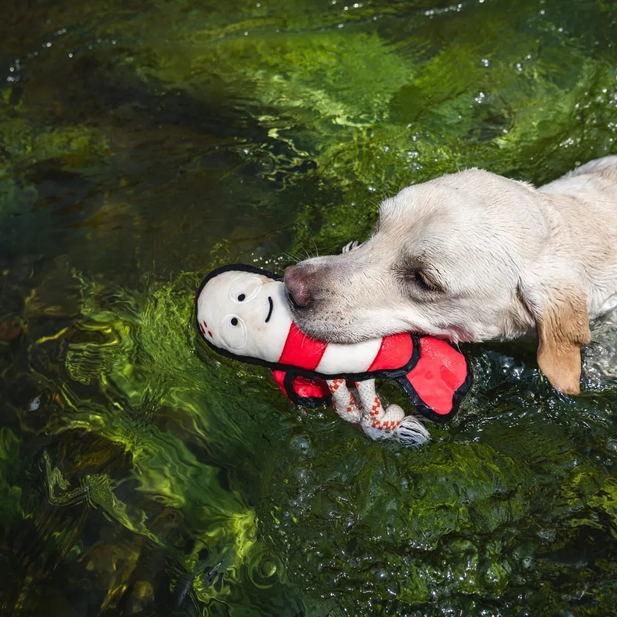 V-Pet Wave Warriors Lobster