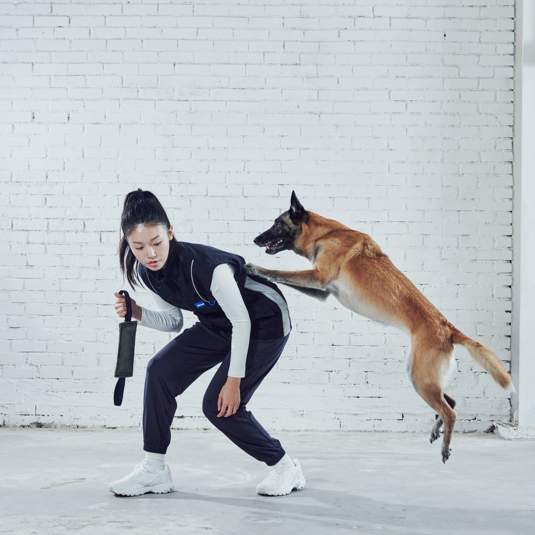 Maxer 38D Two-Handle Tug in use during dog training
