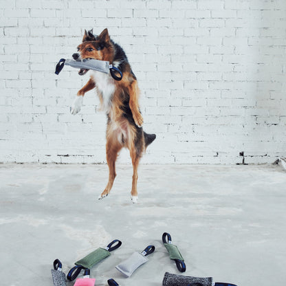 Maxer 38D Two-Handle Tug in use during dog training